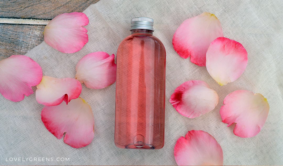 DIY Rose Essence: Make Water, Oil & Tinctures for Cooking